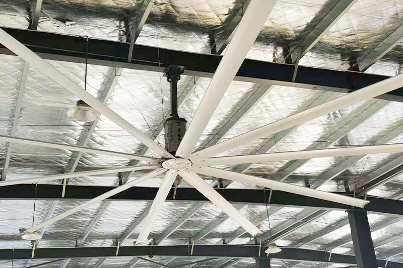 �����L(f��ng)����ô���b��