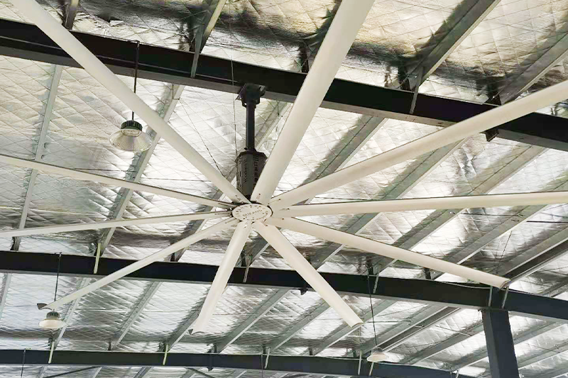 ���͹��I(y��)�L(f��ng)�Ƚ���ԭ����ʲô��