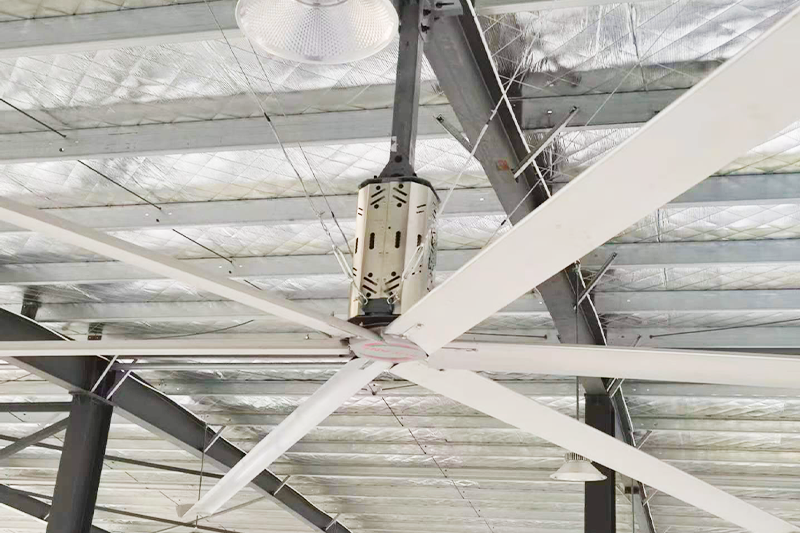 ����늙C(j��)�L(f��ng)��6�~